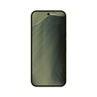 Google Pixel 11