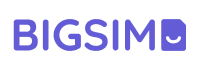 BIGSIM